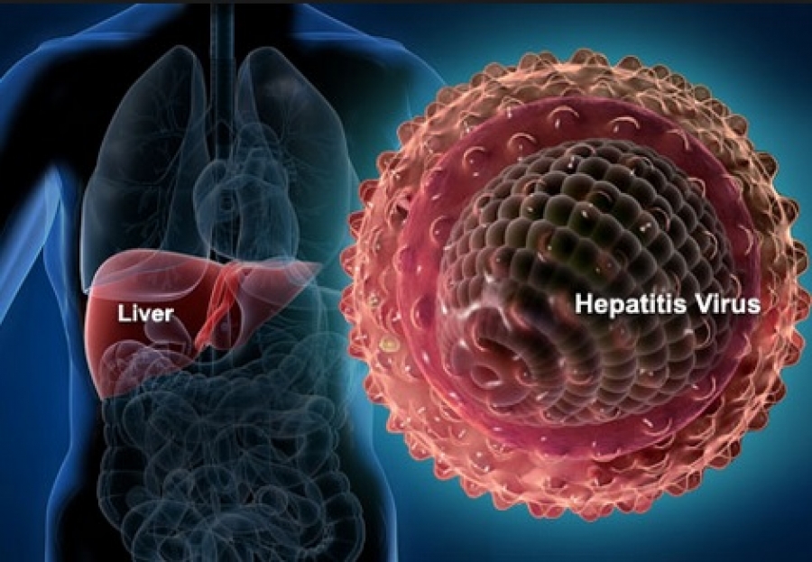 Hepatitis | MyMediStore