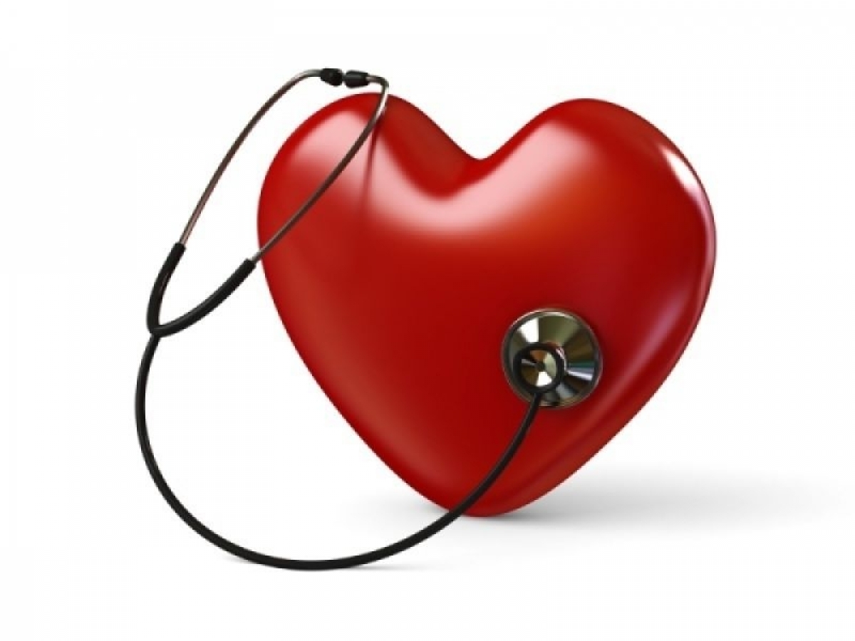 Holly Heart Twitter